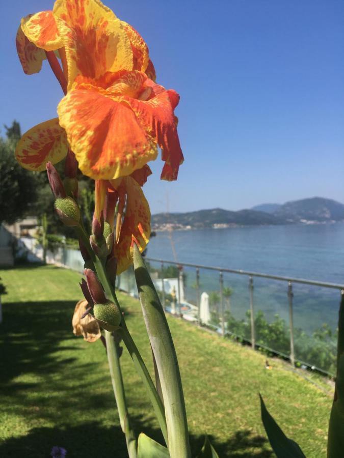 Villa Evita Mesongí Exteriér fotografie